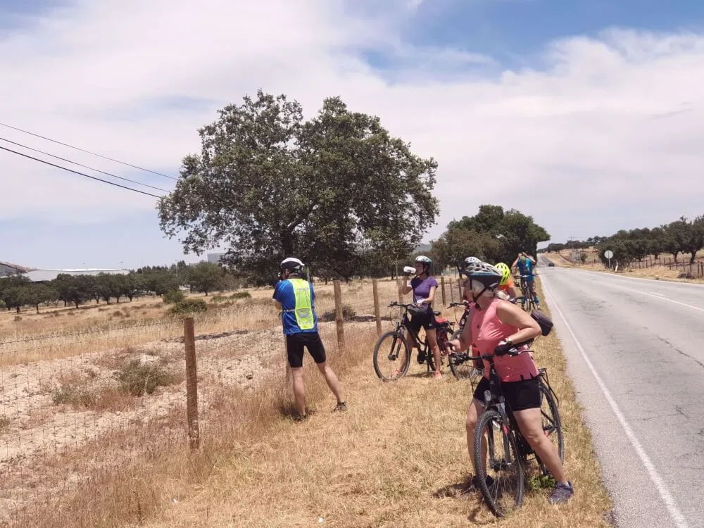 Bike tour alentejo