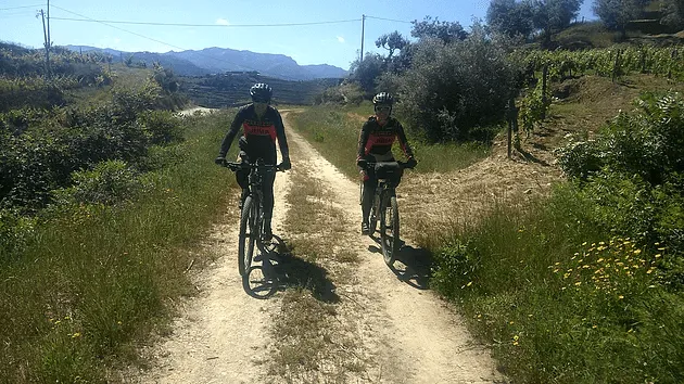 Route dirt track in douro valley