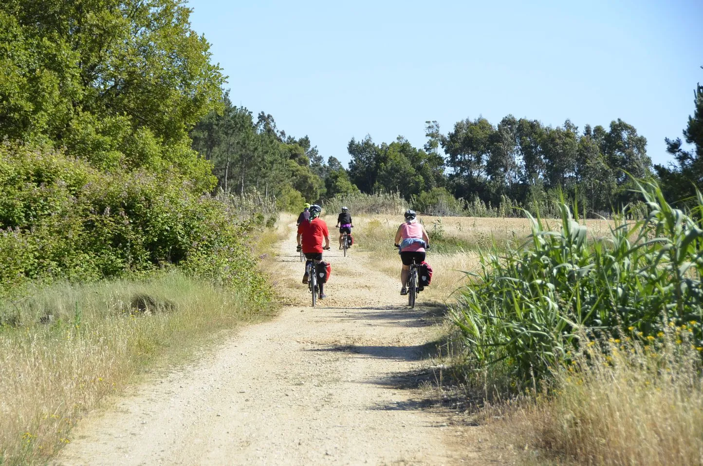 dirt paths near the lakes