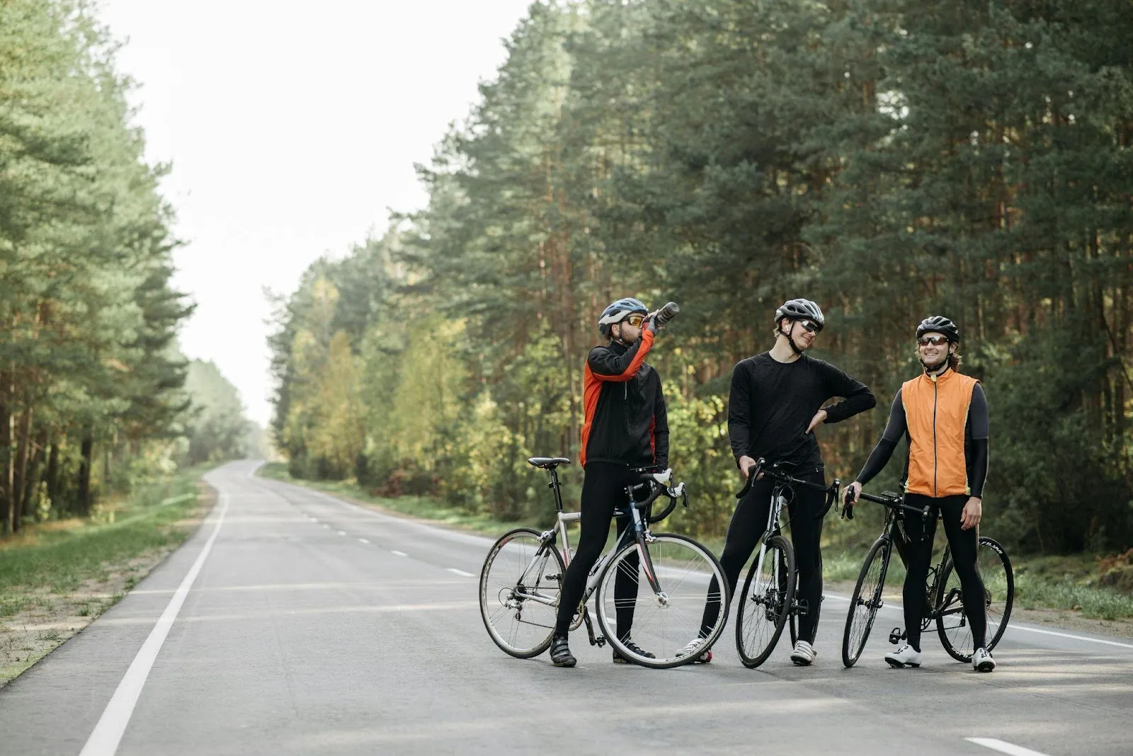 The Role of Bike Tours 