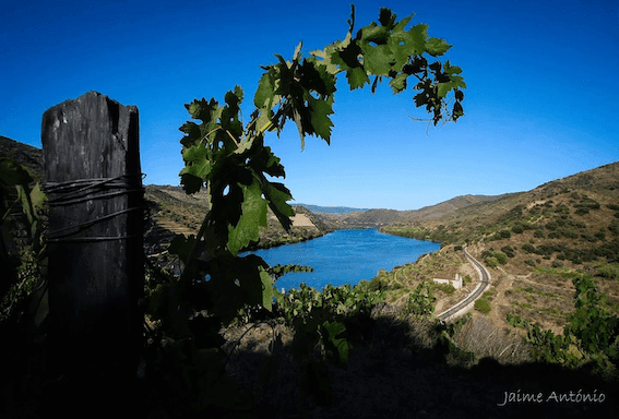 Douro valley bike tour portugal