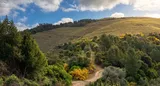 Vale do Douro