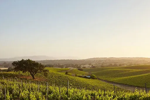 Douro Valley