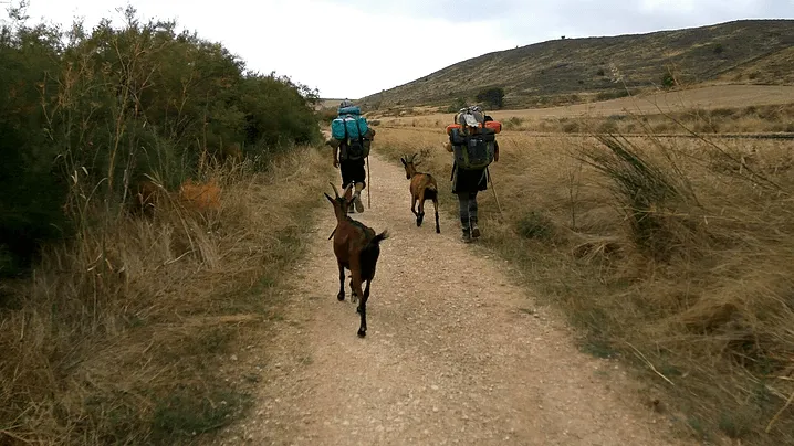 FRENCH CAMINO IN A BYCICLE