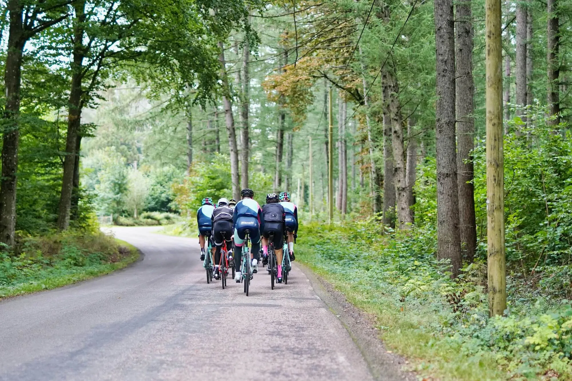 Group Cycling Tours