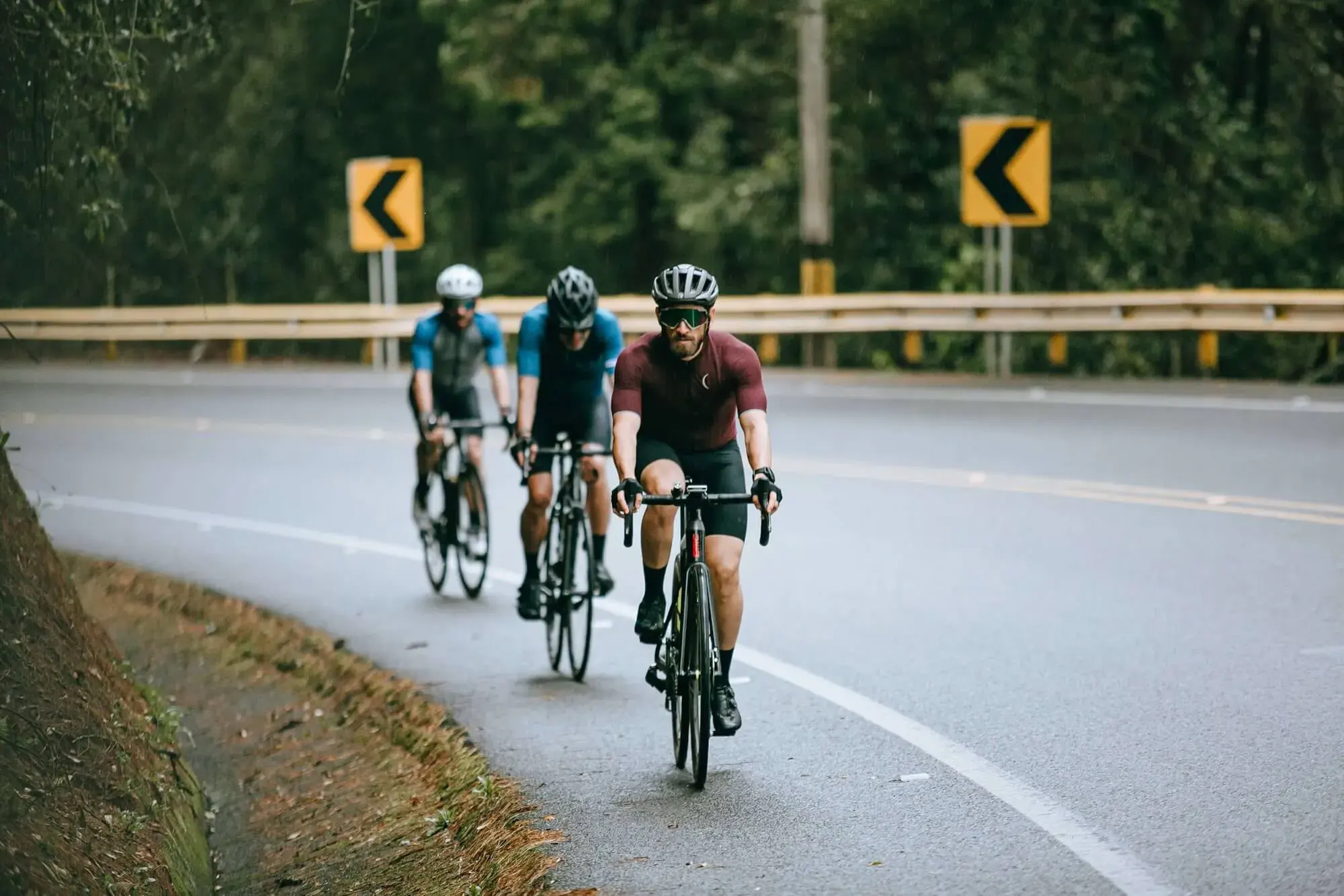 Guided Bike Tours