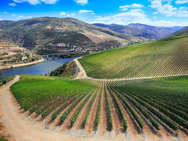 Douro Valley Bike Tour