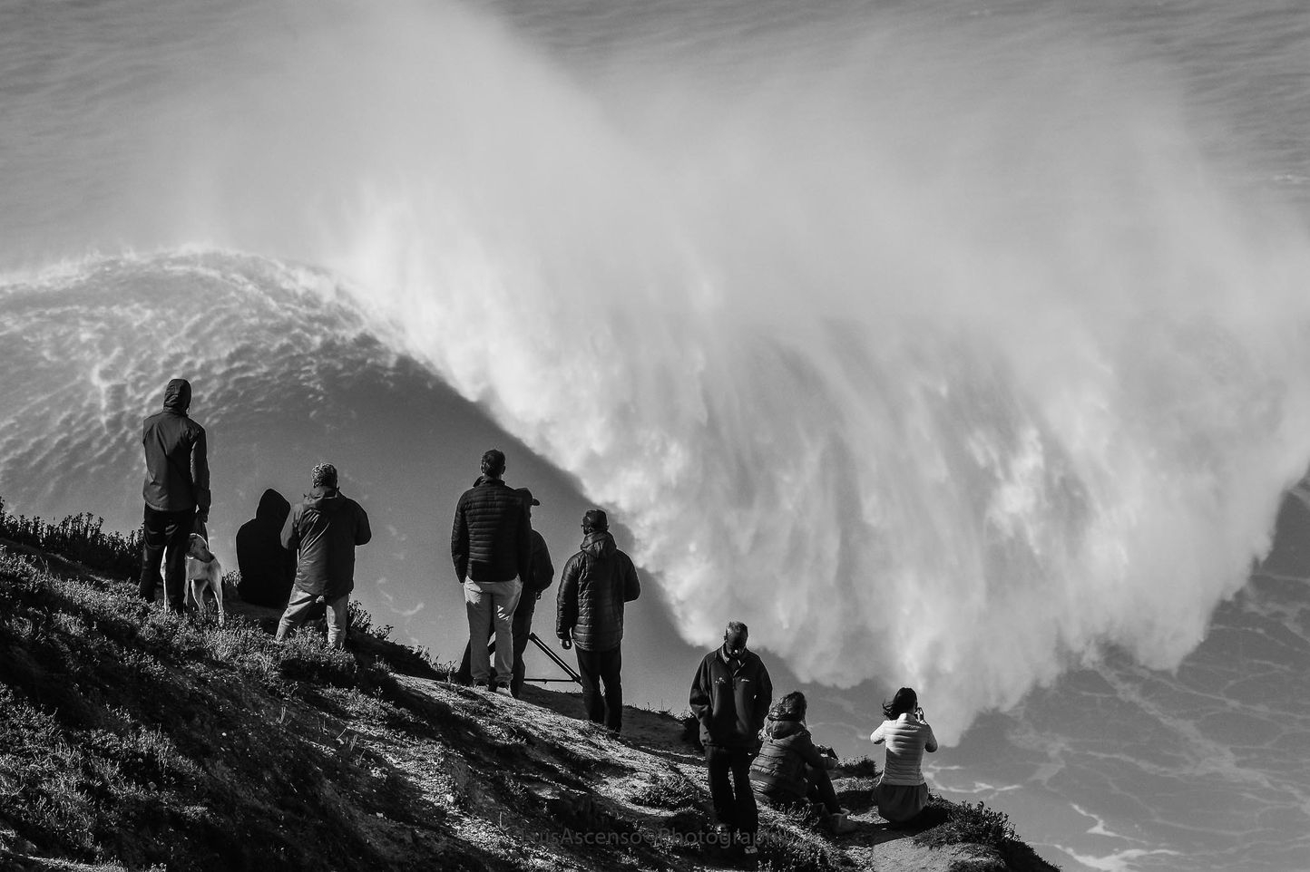 Top bike tours portugal