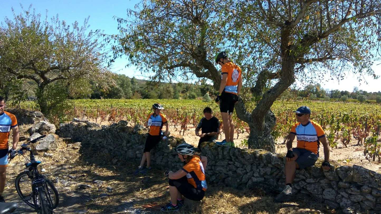 relaxing bike tour in douro valley