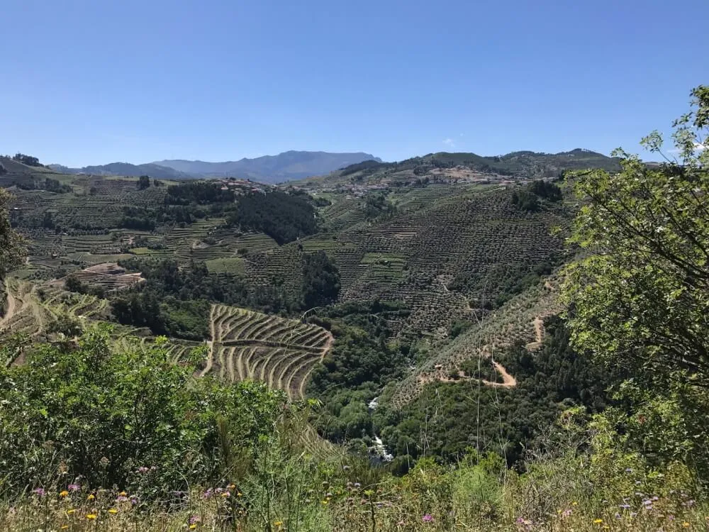 Route from Vila Real to Régua