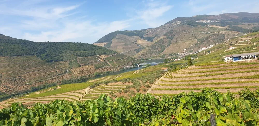 Viewpoint Casal de Loivos