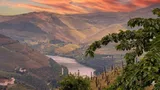 What to Expect on a Douro Valley Bike Tour